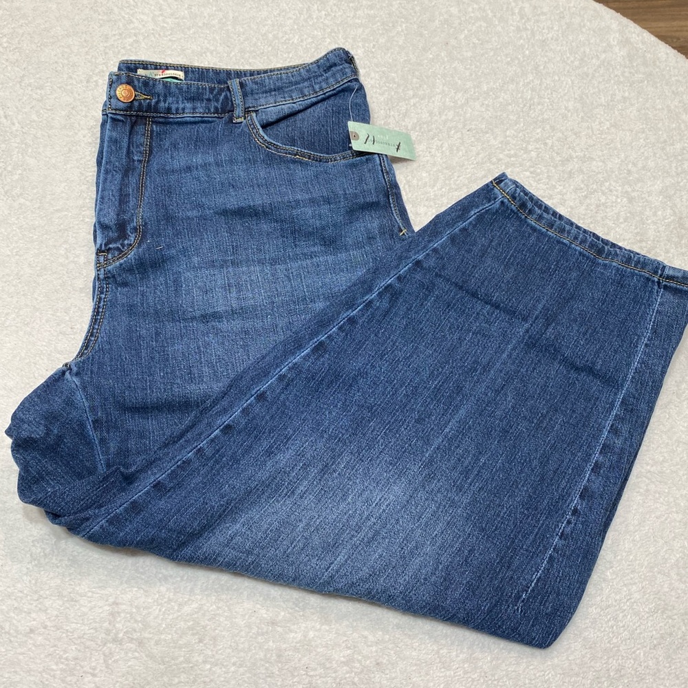 Anthropologie Plus Cropped Dark Wash Jeans